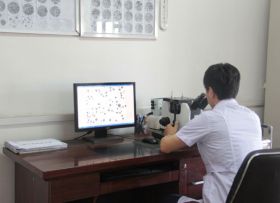 電子金相顯微鏡